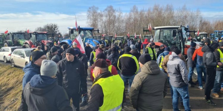 „Forţa fermierilor” susține protestele fermierilor din Polonia, România și Bulgaria împotriva importurilor de cereale din Ucraina: Producătorii locali sunt în prag de faliment | VIDEO