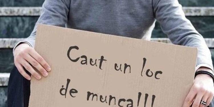 Guvernul a decis: Șomerii vor fi obligați să raporteze lunar ce fac pentru a se angaja în câmpul muncii | VIDEO