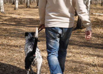 Un britanic a fost omorât în bătaie de un grup de elevi după ce a refuzat să strângă mizeria câinelui cu care ieșise la plimbare