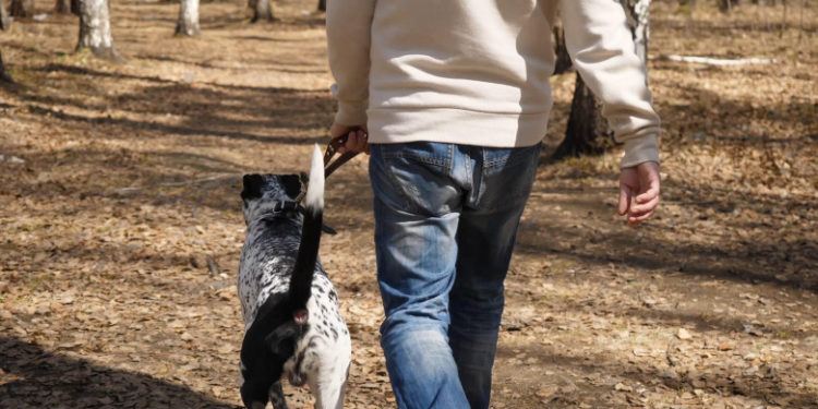 Un britanic a fost omorât în bătaie de un grup de elevi după ce a refuzat să strângă mizeria câinelui cu care ieșise la plimbare