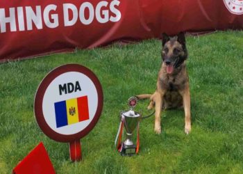Кинолог из Молдовы и его служебный пес стали призерами на международном турнире | VIDEO