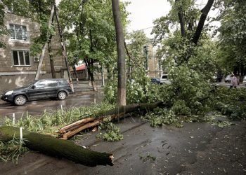 Ședința în care urma să fie examinat demersul privind schimbarea măsurii preventive a Marinei Tauber, amânată. Procurorul se afla la Parlament să ceară ridicarea imunității deputatei