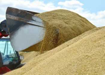 Ucraina a pregătit un decret de impunere a restricțiilor de import împotriva R. Moldova. Explicațiile viceministrului Dezvoltării Economice | VIDEO