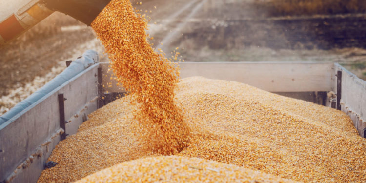 Noi detalii în dosarul delapidării fondului pentru refugiați: Ce au ridicat ofițerii CNA de la domiciliul șefului Direcției Sănătate Chișinău, Boris Gîlca