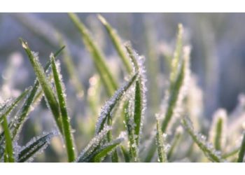 După circa 6 ore de discuții, ședința CC, unde s-a examinat constituționalitatea Partidului „ȘOR” a fost amânată. Care este motivul?