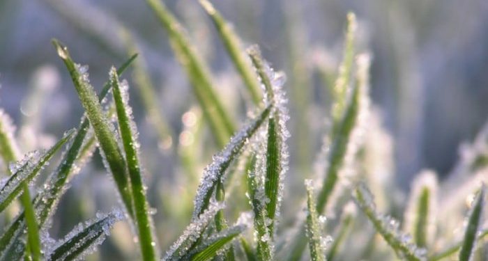 După circa 6 ore de discuții, ședința CC, unde s-a examinat constituționalitatea Partidului „ȘOR” a fost amânată. Care este motivul?