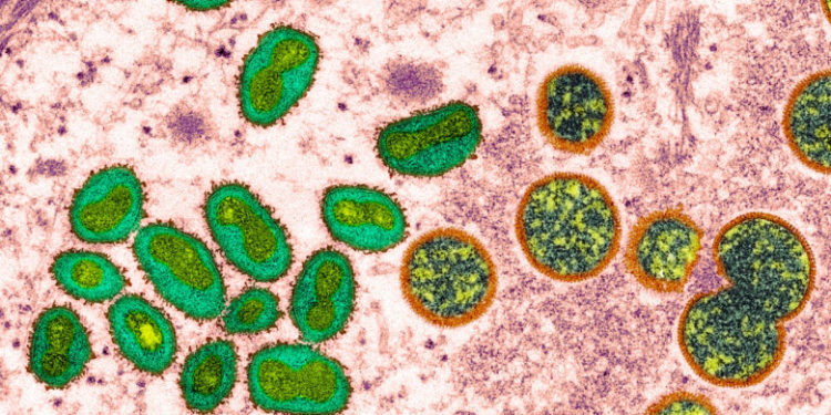 OMS anunță că variola maimuței nu mai este o urgenţă de sănătate publică