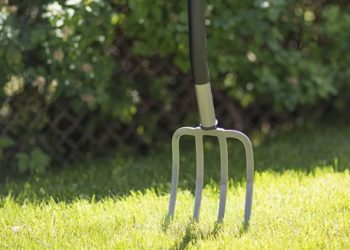 Unul cu un cuțit, altul – cu furca! Doi vecini erau la un pas de păcat, pentru că iubita unuia nu voia acasă