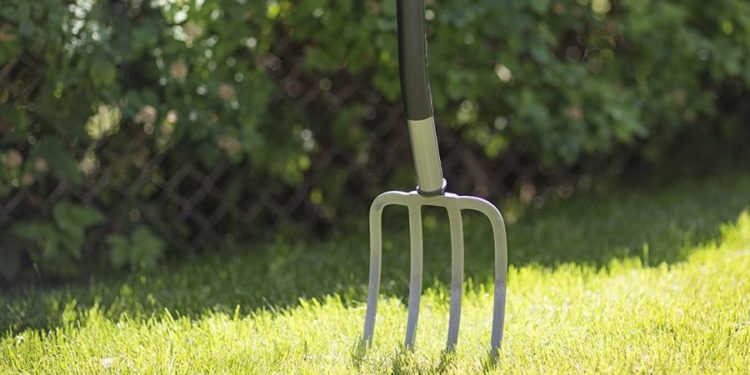 Unul cu un cuțit, altul – cu furca! Doi vecini erau la un pas de păcat, pentru că iubita unuia nu voia acasă