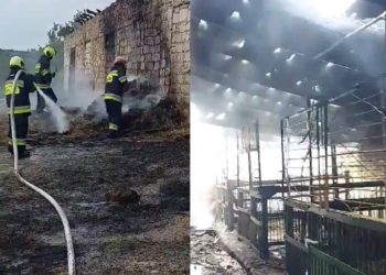 „Era foarte mult fum, nu vedeam, mergeam pe întuneric ca să salvăm animalele”. Detalii exclusive, oferite de antrenoarea de hipism despre incendiul care le-a distrus grajdul | VIDEO