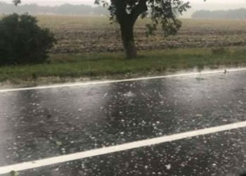 Дождь, сильный ветер и град размером с горошину. Стихия нанесла ущерб  некоторым населенным пунктам страны | VIDEO