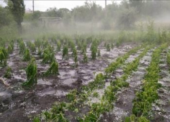 Din nou Cod Galben! Descărcări electrice cu ploi și vijelii