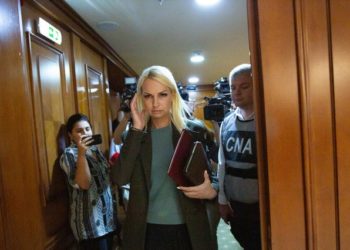 Procurorul general interimar a venit în Parlament. Cere ridicarea imunității parlamentare a Marinei Tauber