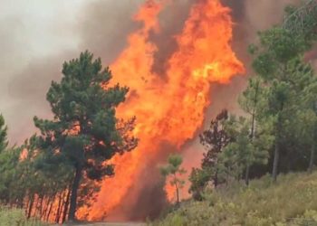 Un incendiu a distrus 3.700 de hectare de vegetație în vestul Spaniei. 550 de persoane – evacuate