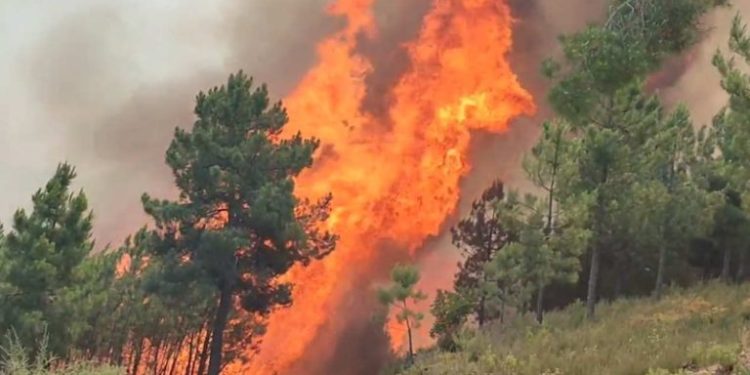 Un incendiu a distrus 3.700 de hectare de vegetație în vestul Spaniei. 550 de persoane – evacuate