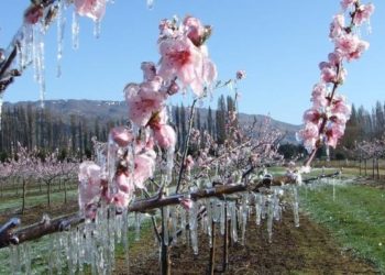 Meteorologii avertizează: Ne așteaptă înghețuri de până la -2 grade, în plină primăvară