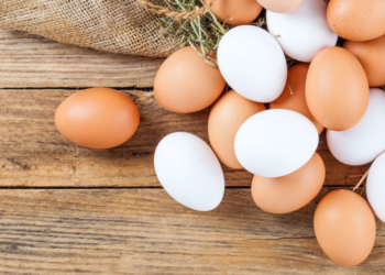 Avertizarea emisă de ANSA: La o companie avicolă din Taraclia a fost depistată salmonela