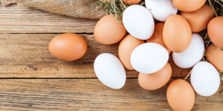 Avertizarea emisă de ANSA: La o companie avicolă din Taraclia a fost depistată salmonela