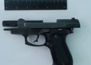 Обыски в Яловенах: Что обнаружили правоохранительные органы в домах двух мужчин | VIDEO