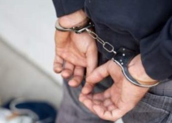 Житель Ниспорен задержан по подозрению в краже 45 тысяч леев