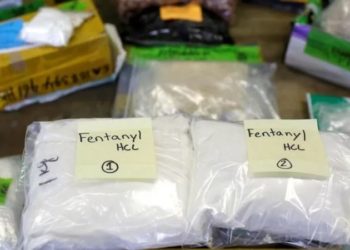 Мир переживает бум потребления синтетических наркотиков. ООН обеспокоена