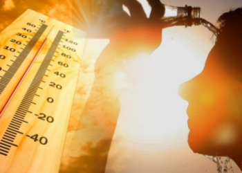 Синоптики объявили желтый код метеоопасности в связи с жарой