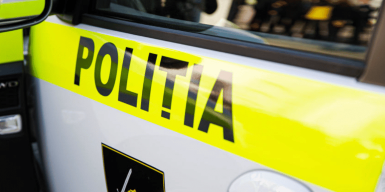 В Новых Аненах водитель авто и его пассажир избили полицейских