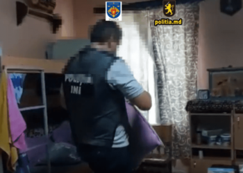 Торговали дровами из-за решетки: на что потратили деньги двое заключенных из Леова