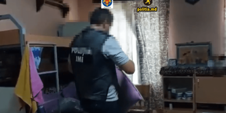 Торговали дровами из-за решетки: на что потратили деньги двое заключенных из Леова