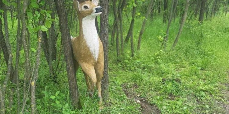 Hoțul de „cerbi” de la Căpriana. Poliția l-a prins pe cel care a furat figura de la intrarea în sat. Explicația bărbatului