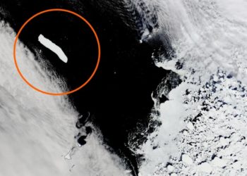 Самый большой в мире айсберг разорвало на части в Атлантике