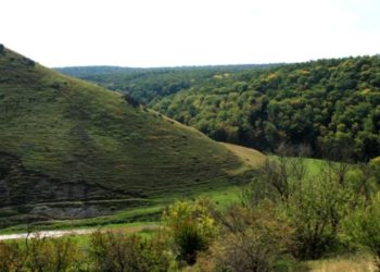 Находка в заповеднике: в Унгенах обнаружили снаряд времен Второй мировой войны