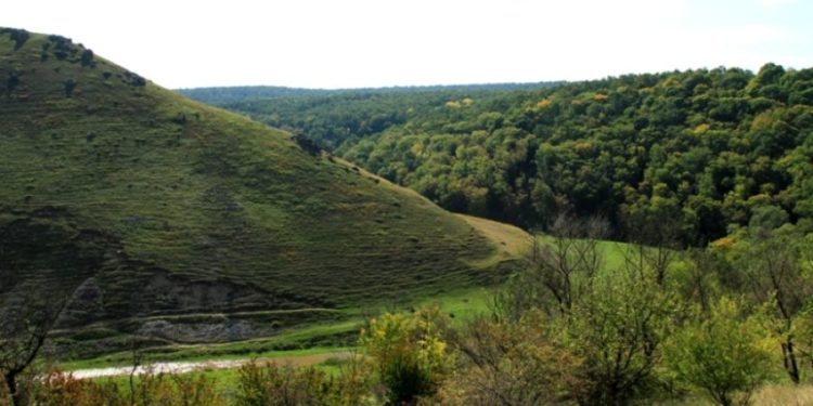 Находка в заповеднике: в Унгенах обнаружили снаряд времен Второй мировой войны