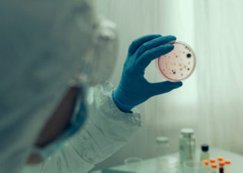 В Молдове предупредили о риске холеры после катастрофы на Каховской ГЭС