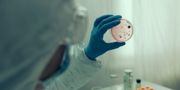 В Молдове предупредили о риске холеры после катастрофы на Каховской ГЭС