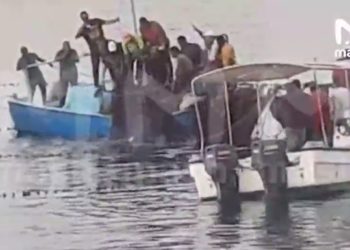 В Египте поймали акулу-людоеда