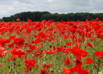 Maxime de până la +30 grade: Ce prognozează meteorologii pentru astăzi