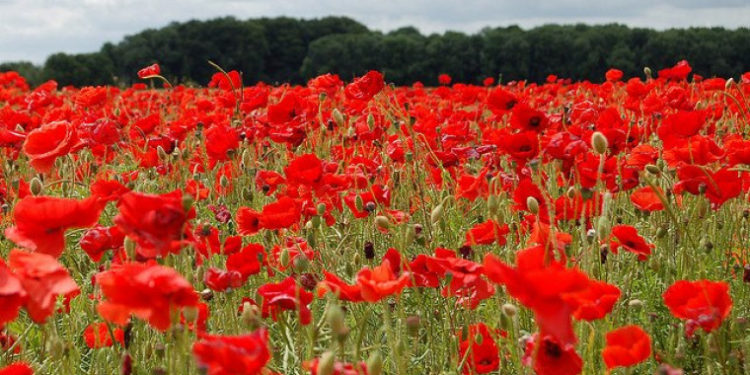 Maxime de până la +30 grade: Ce prognozează meteorologii pentru astăzi