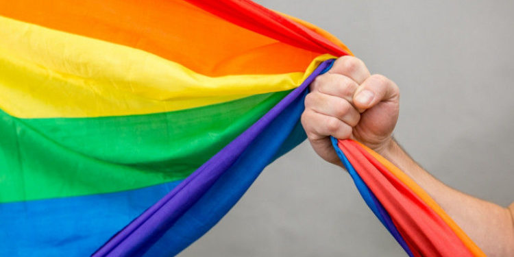 Представители партии «Возрождение» организуют марш «Традиционная семья». Василий Боля: Мы зарегистрировали проект о «запрете ЛГБТ-пропаганды» | VIDEO