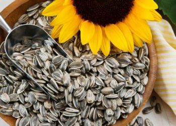 Escrocherie: Două companii nu și-au primit un total de peste 500 mii de lei, după ce ar fi vândut peste 125 tone de semințe de floarea soarelui | VIDEO