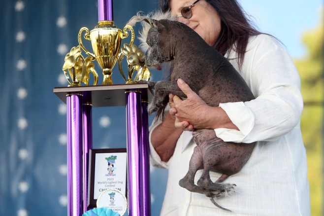 Povestea extraordinară a lui Scooter, desemnat „cel mai urât câine din lume”. Imaginile unui concurs inedit și cu mesaj puternic | FOTO