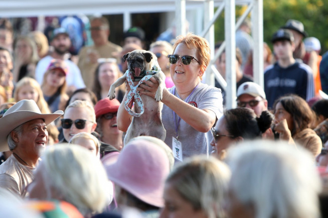 Povestea extraordinară a lui Scooter, desemnat „cel mai urât câine din lume”. Imaginile unui concurs inedit și cu mesaj puternic | FOTO