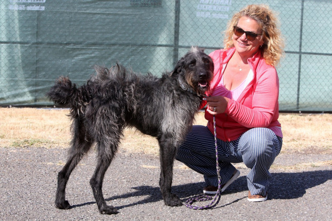 Povestea extraordinară a lui Scooter, desemnat „cel mai urât câine din lume”. Imaginile unui concurs inedit și cu mesaj puternic | FOTO