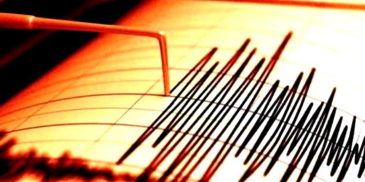 Cutremur cu magnitudinea de 6,2 grade Richter în Japonia