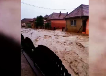 Inundațiile au făcut prăpăd în România. Într-un sat din județul Alba, oamenii și-au părăsit casele