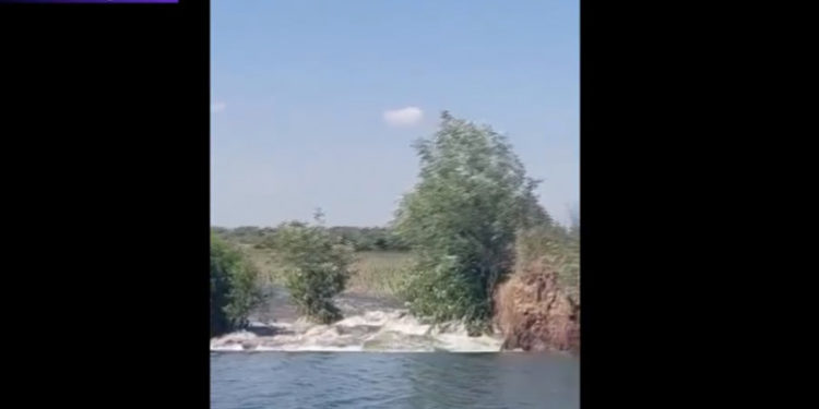 Un dig din Delta Dunării s-a rupt. Mai multe terenuri au fost inundate