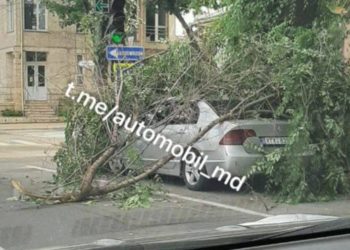 Șofer ghinionist: Un copac a căzut peste automobilul său, chiar în centrul Capitalei