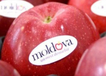 Agricultorii moldoveni își vor putea exporta produsele în patru țări UE fără a plăti tarife vamale | VIDEO