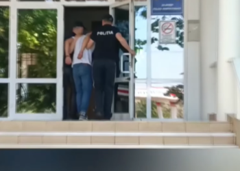 Percheziții în raionul Ialoveni: Polițiștii au găsit zeci de plante asemănătoare cu cânepa