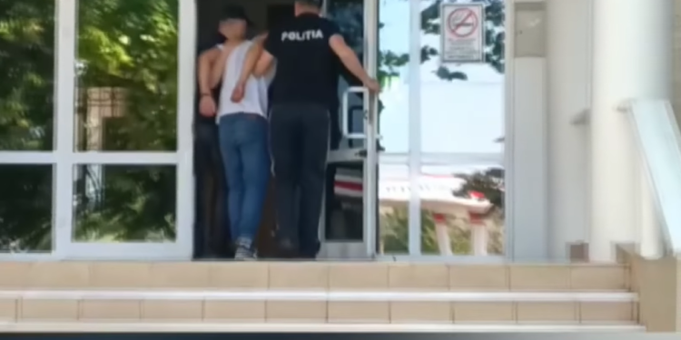 Percheziții în raionul Ialoveni: Polițiștii au găsit zeci de plante asemănătoare cu cânepa